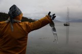 Escultura hecha por pescadores en Caletón Silva. traje de agua relleno con bloques de plumavit