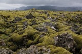 Típico paisaje en islandia. Roca magmática cubierta de turba (musgos) 