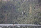 Selvas y paredes en el fiordo Nef 