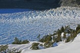 Glaciar exploradores y bosques nevados 