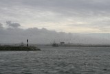 Una nube de gaviotas sigue a un pesquero en las costas de Portugal