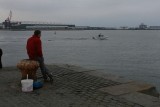 Pescadores en Cherbourg­­­