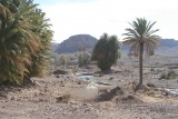 Un oasis en pleno desierto­